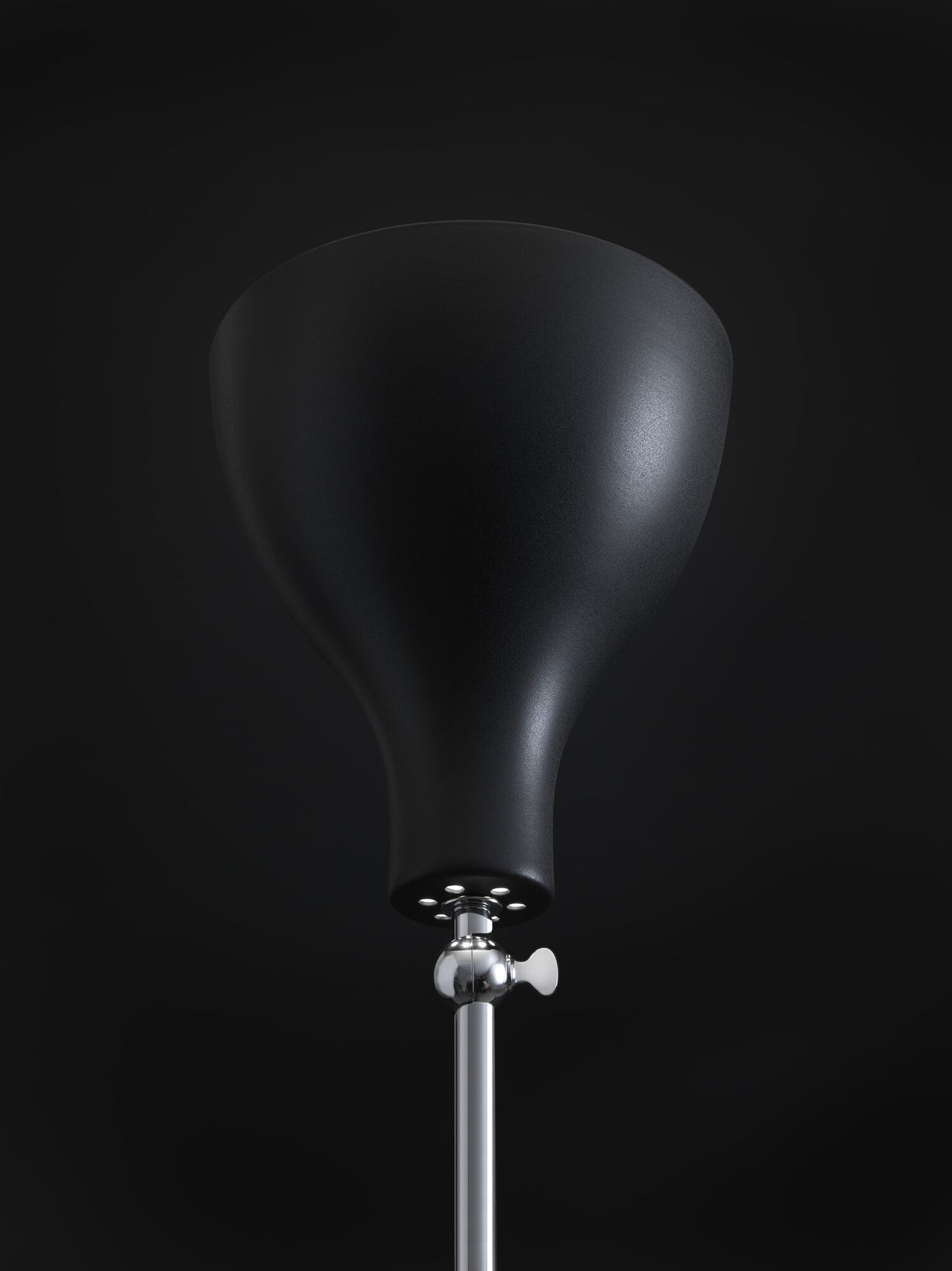 Additional view of Lady V Piantana